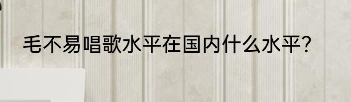 毛不易唱歌水平在国内什么水平？