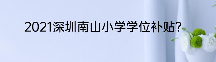 2021深圳南山小学学位补贴?
