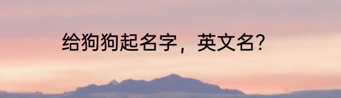 给狗狗起名字，英文名？