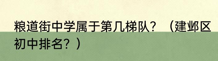 粮道街中学属于第几梯队？（建邺区初中排名？）