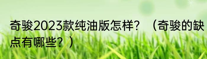 奇骏2023款纯油版怎样？（奇骏的缺点有哪些？）