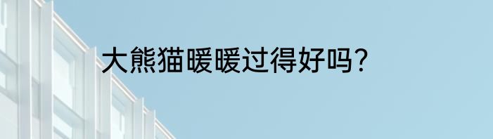 大熊猫暖暖过得好吗？