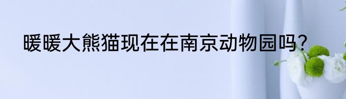 暖暖大熊猫现在在南京动物园吗？