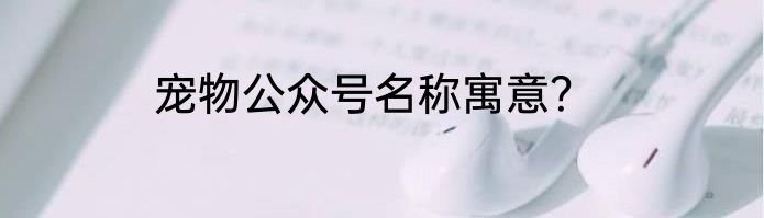 宠物公众号名称寓意？
