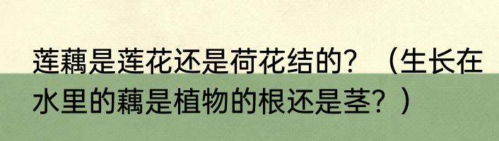 莲藕是莲花还是荷花结的?(生长在水里的藕是植物的根还是茎?)