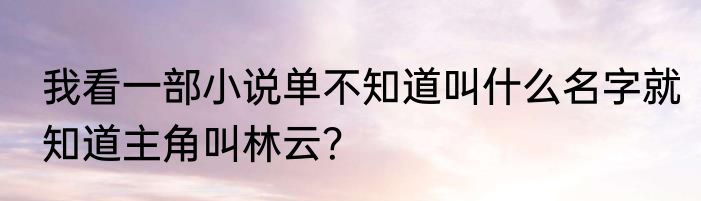 我看一部小说单不知道叫什么名字就知道主角叫林云？