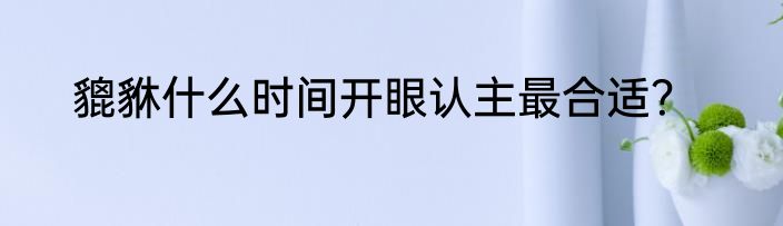 貔貅什么时间开眼认主最合适？