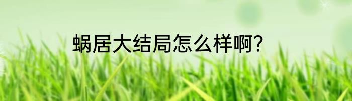 蜗居大结局怎么样啊？