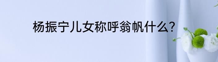 杨振宁儿女称呼翁帆什么？