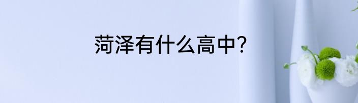 菏泽有什么高中？