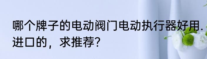 哪个牌子的电动阀门电动执行器好用.进口的，求推荐？