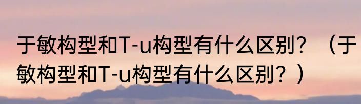 于敏构型和T-u构型有什么区别？（于敏构型和T-u构型有什么区别？）