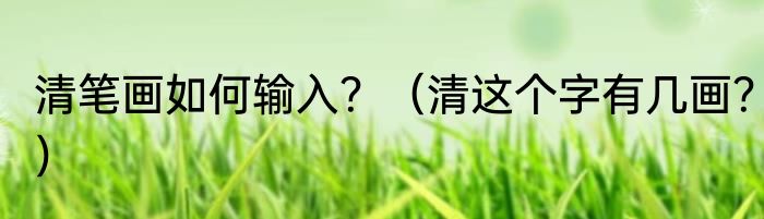 清笔画如何输入？（清这个字有几画？）