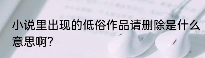小说里出现的低俗作品请删除是什么意思啊？
