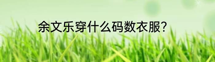 余文乐穿什么码数衣服？