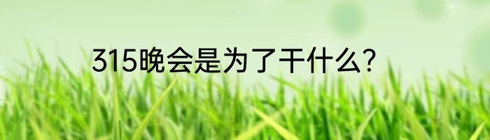 315晚会是为了干什么？