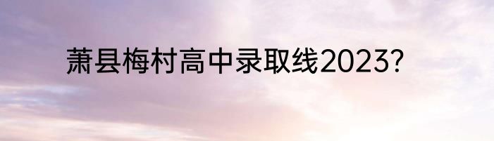 萧县梅村高中录取线2023？