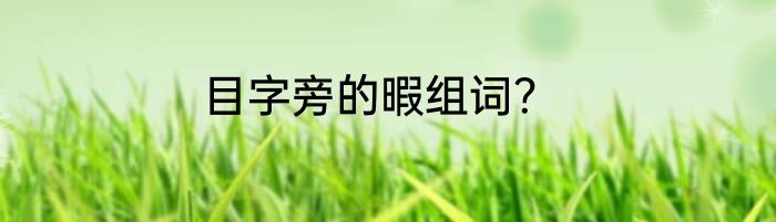 目字旁的暇组词？
