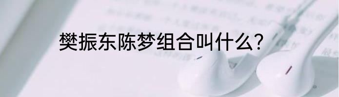 樊振东陈梦组合叫什么？