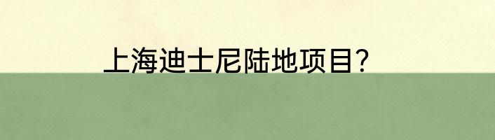 上海迪士尼陆地项目？