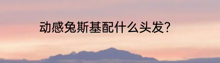 动感兔斯基配什么头发？