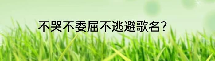 不哭不委屈不逃避歌名？