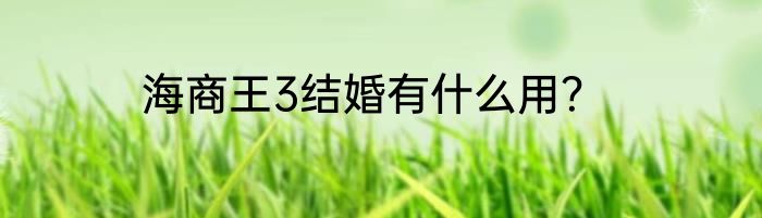 海商王3结婚有什么用？