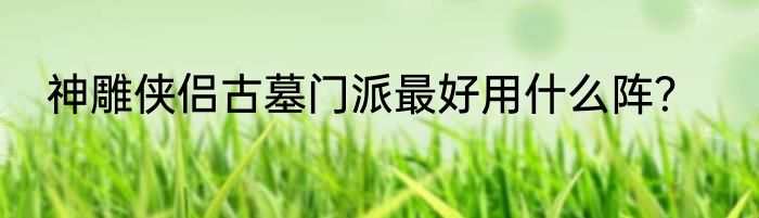 神雕侠侣古墓门派最好用什么阵？