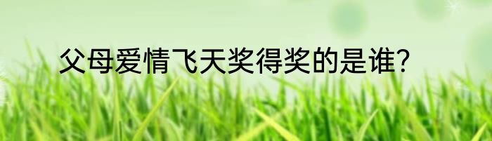 父母爱情飞天奖得奖的是谁？