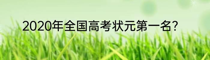 2020年全国高考状元第一名？
