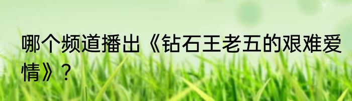 哪个频道播出《钻石王老五的艰难爱情》？