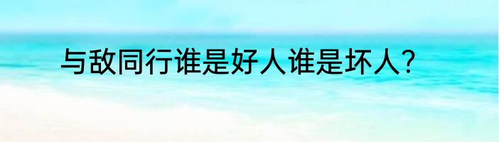 与敌同行谁是好人谁是坏人？