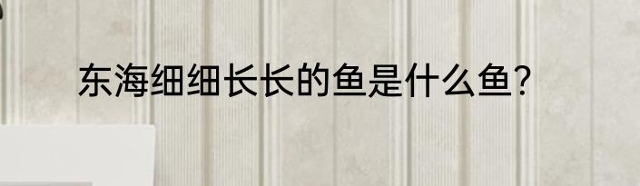 东海细细长长的鱼是什么鱼？