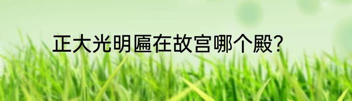 正大光明匾在故宫哪个殿？