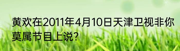 黄欢在2011年4月10日天津卫视非你莫属节目上说？
