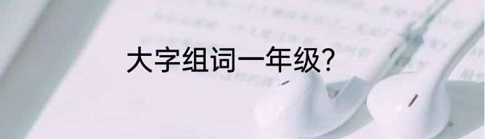 大字组词一年级？