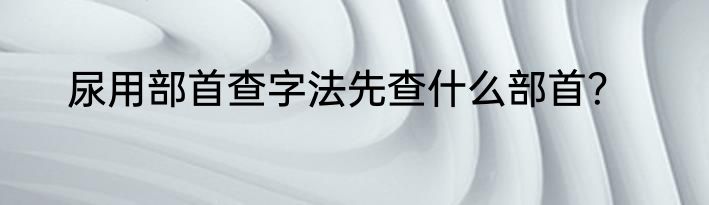 尿用部首查字法先查什么部首？