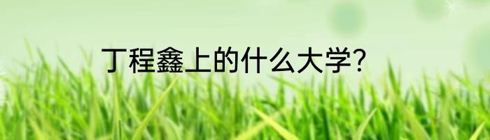 丁程鑫上的什么大学？