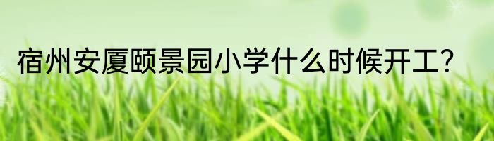 宿州安厦颐景园小学什么时候开工？