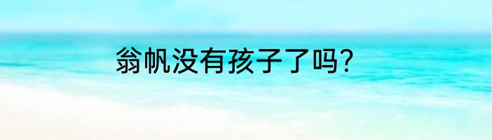 翁帆没有孩子了吗？