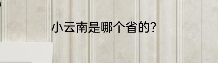 小云南是哪个省的？