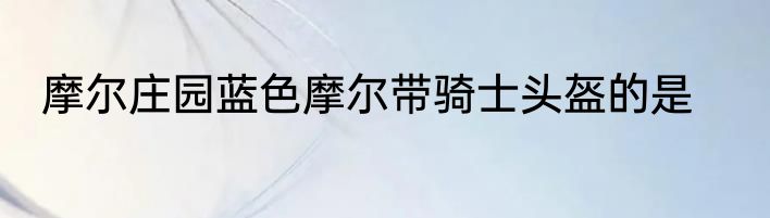 摩尔庄园蓝色摩尔带骑士头盔的是