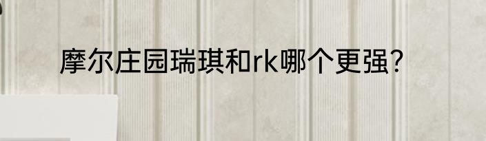摩尔庄园瑞琪和rk哪个更强？