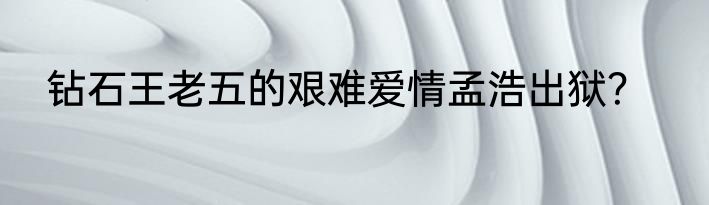 钻石王老五的艰难爱情孟浩出狱？