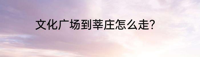 文化广场到莘庄怎么走？