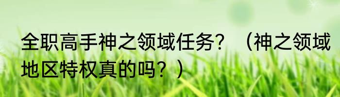 全职高手神之领域任务？（神之领域地区特权真的吗？）