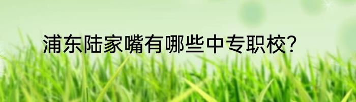 浦东陆家嘴有哪些中专职校？