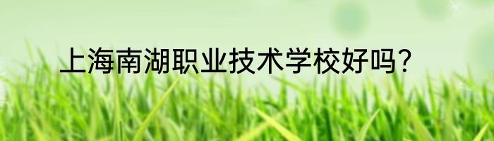 上海南湖职业技术学校好吗？