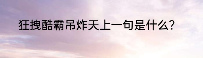 狂拽酷霸吊炸天上一句是什么？