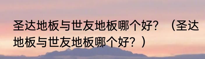 圣达地板与世友地板哪个好？（圣达地板与世友地板哪个好？）